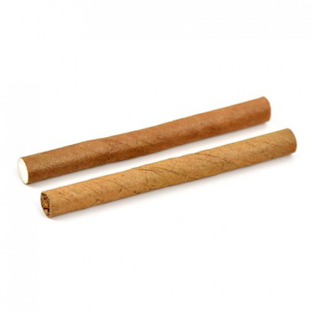 Candlelight Filter - Sumatra